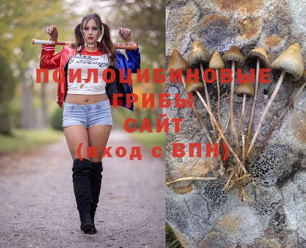apvp Пролетарск